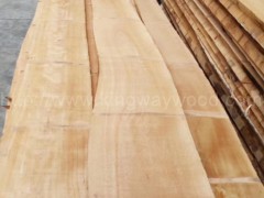 木业最新木材欧洲进口纯实木板 榉木毛边板优质地板家居用材图2