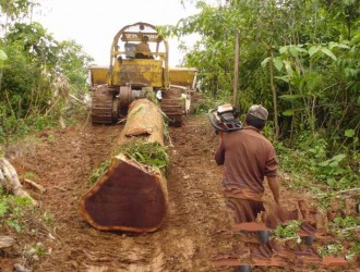 老挝阿速坡查获27车非法木材