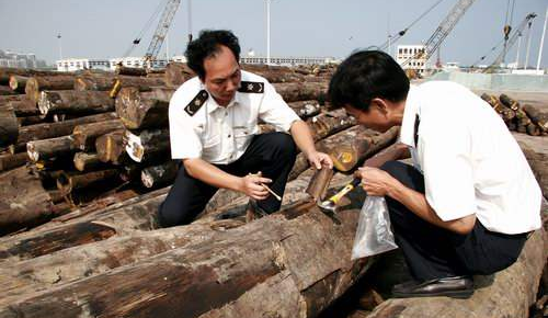 贵港口岸连续全国首次截获外来有害生物