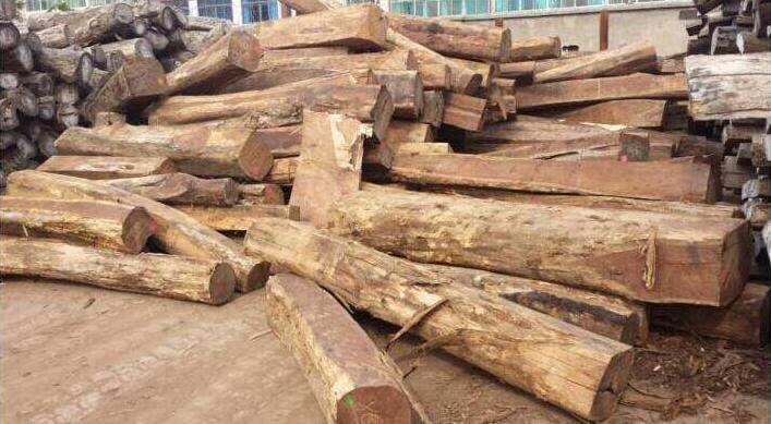 国际木材市场分析:资源紧缺不可逆 价格上涨不可挡