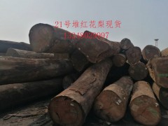 张家港现货供应非洲红花梨原木