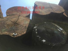 张家港现货供应非洲红花梨原木图3