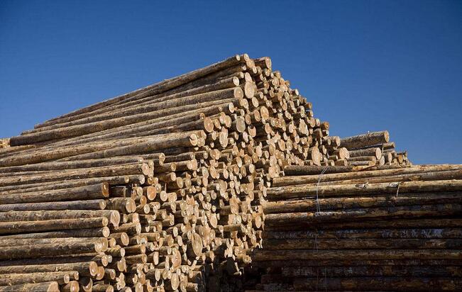 截至9月上旬，江门木制家具出口同比增长46.95% 