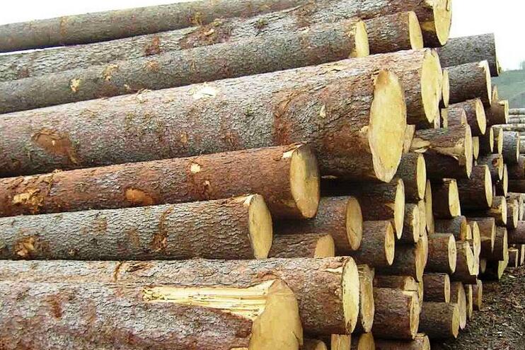 环保让木材涨价已不重要 倒闭危机使企业致命