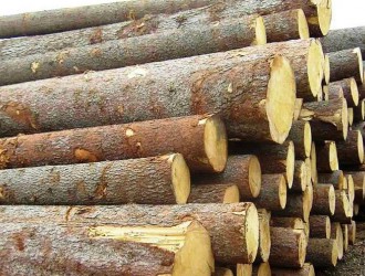 环保让木材涨价已不重要 倒闭危机使企业致命
