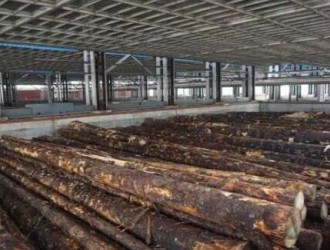 九江进境木材监管区首次直通放行进口木材
