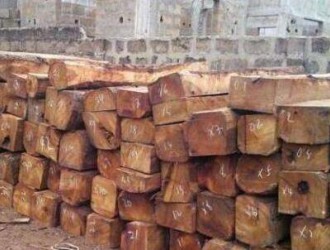 加纳木材种类大全_桌凳面板