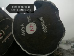 张家港一手货源供应非洲无虫眼鸡翅木原木图2