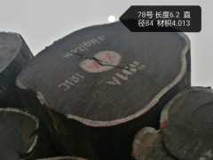 张家港一手货源供应非洲无虫眼鸡翅木原木图3
