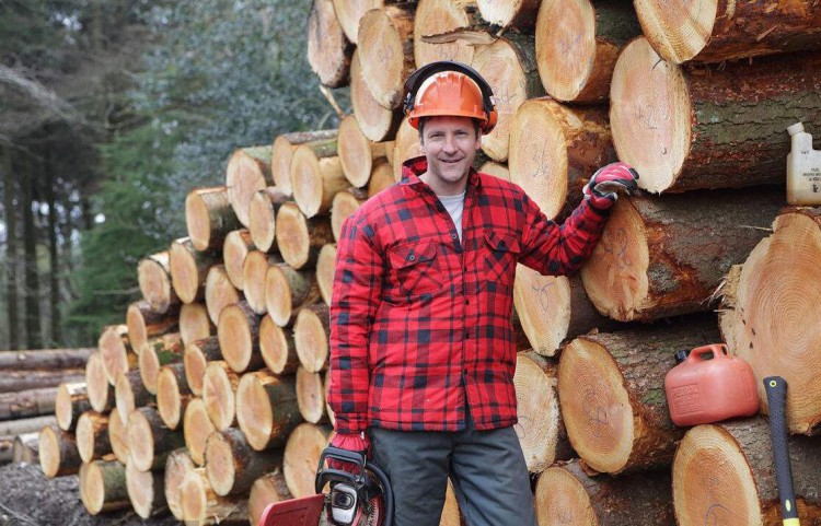 英国木材供不应求 强劲需求致价格上涨