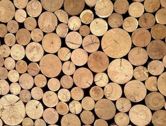 2017年各国木材生产成本的季度波动