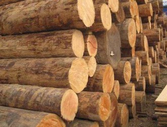 2017年上半年中国热带原木进口量同比下降7%