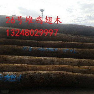 张家港长期供应非洲大鸡翅木原木 非洲崖豆木原木