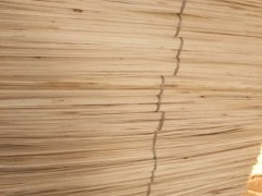 杨木三拼板效果图