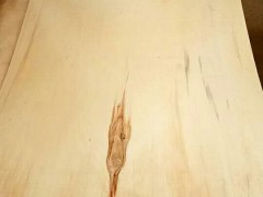 杨木三拼板