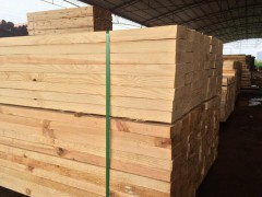 俄罗斯进口樟子松原木烘干板材