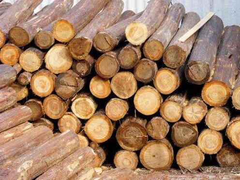 各国对木材出口严格管制 国内市场迎来木材紧缺问题
