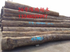 张家港一手货源供应非洲鸡翅木原木图3