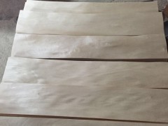 枫桦木皮单板图2