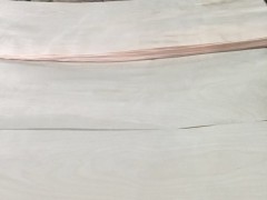 枫桦木皮单板图3