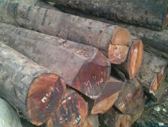 2017年各国前两季度木材生产成本波动