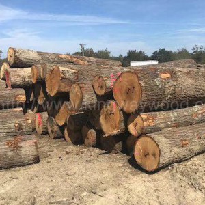 木业最新供应美国宾州北部红橡原木 美式家居材 床柜料