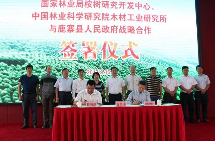  中国林科院木材所与鹿寨县政府签署合作协议