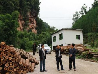 四川乐山马边林业局调研木材加工厂工作