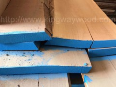 木业最新供应德国榉木毛边板进口实木玩具制作 家居材 耐磨