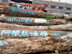 阿根廷绿檀原木大量新货到港图2
