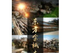 阿根廷绿檀原木大量新货到港图3