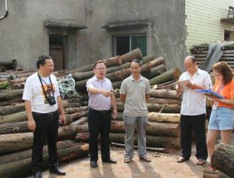 重庆黔江：排查木材加工行业安全隐患