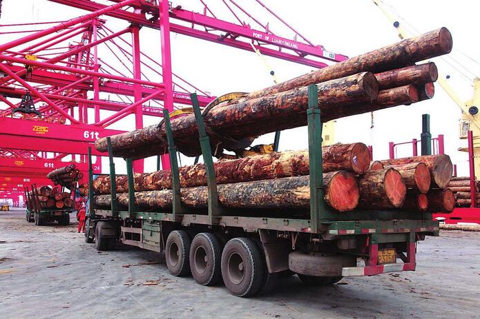 江苏张家港口岸前三季度进境集装箱木材同比增加75.76% 