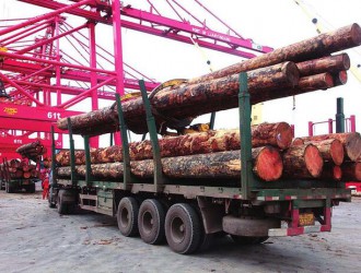 江苏张家港口岸前三季度进境集装箱木材同比增加75.76%