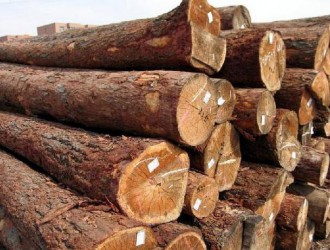 上周木材市场价格行情分析