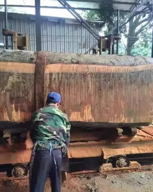 只为了能合理利用这根原木，切出好的尺寸板，一锯木头就是要等一天，守在锯木厂