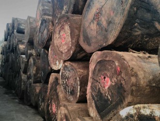 多国限制木材出口 南美材成为新的增长点