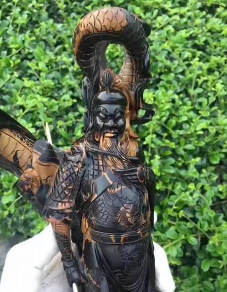海柳将成为海底新宠？深海30米竟有如此神奇珍宝，它还有很高的医用价值 