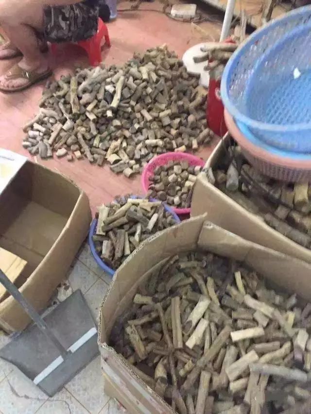 海柳因其温润通透、光滑如玉的质感