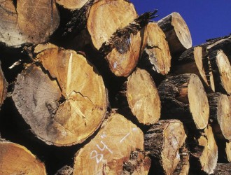 北美木材​价今后将只高不低