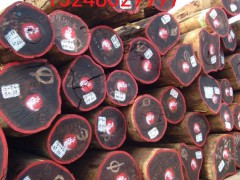 张家港一手货源供应非洲刚果精品红花梨原木