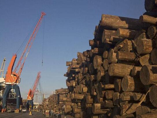 北美木材市场：南方松整体销售速度放缓