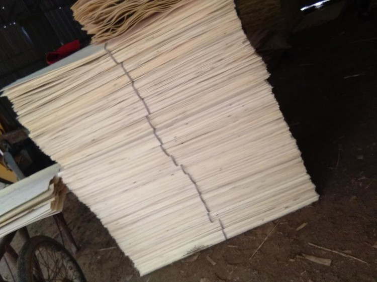 杨木板皮用于家具和一般建筑用途