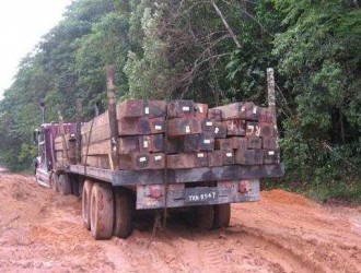 老挝截获4辆非法偷运木材车辆