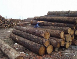 湖州国检海关联合走访安吉木材进口企业