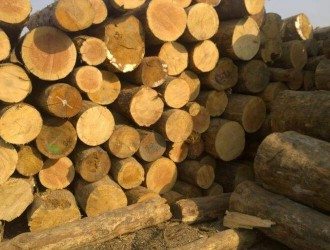 9月安徽木材及纸浆类价格上涨1.2%