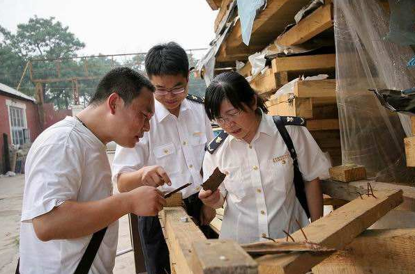 宁波北仑检验检疫局从进境木质包装中截获松材线虫