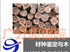 进口木材鉴定、树种检测、真假鉴定——广州检测机构图1