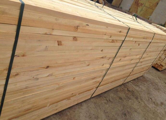天津检验检疫局在樟子松板材中截获“林木杀手”