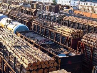 1-10月常熟口岸进口日本木材上涨148%